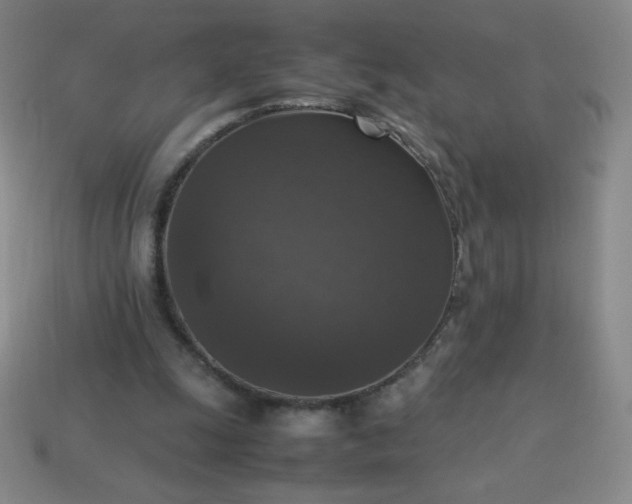 X0000113950247200910091614