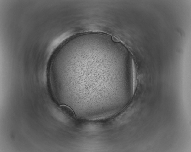 X0000113950248200910091614