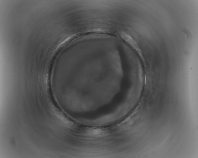 X0000113950249200910091614