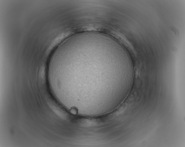 X0000113950250200910091614