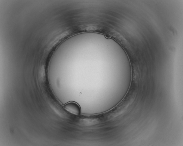 X0000113950251200910091614