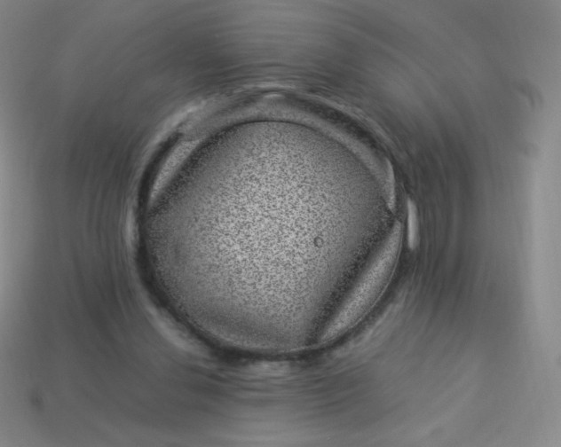 X0000113950252200910091614