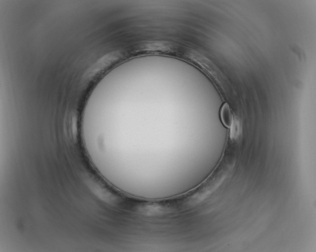 X0000113950253200910091614