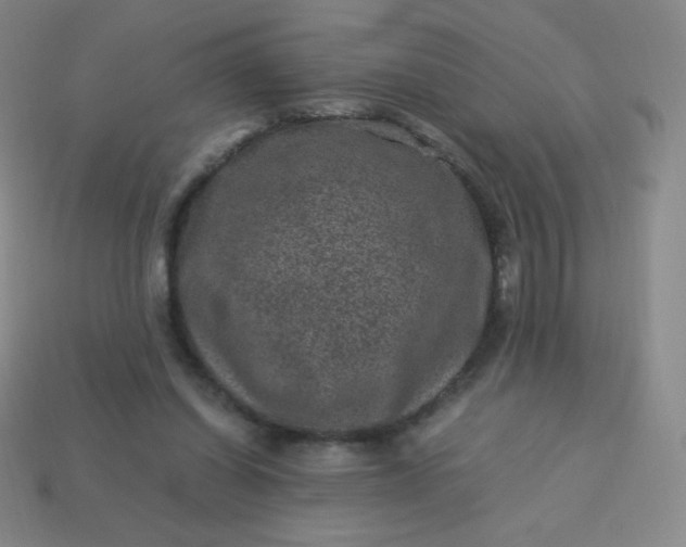 X0000113950254200910091614