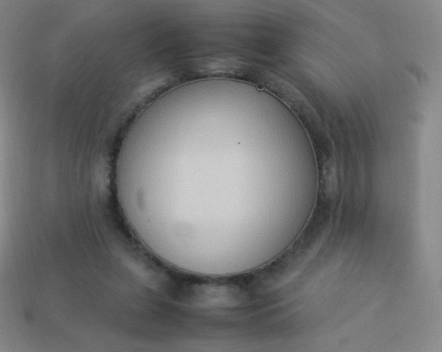 X0000113950255200910091614