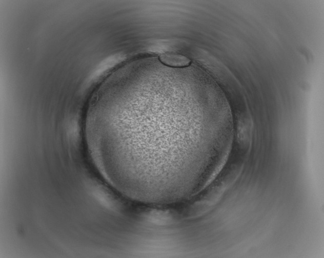 X0000113950256200910091615