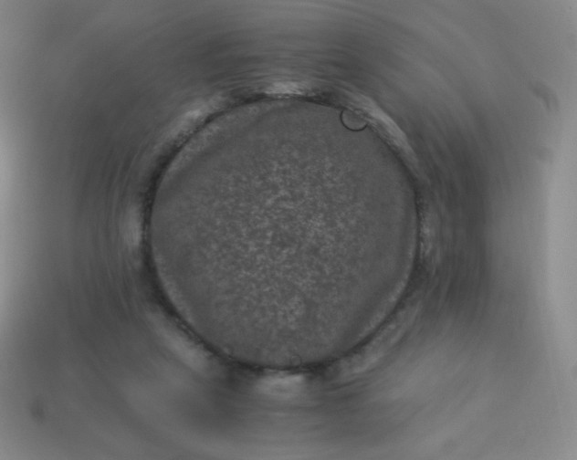 X0000113950257200910091615