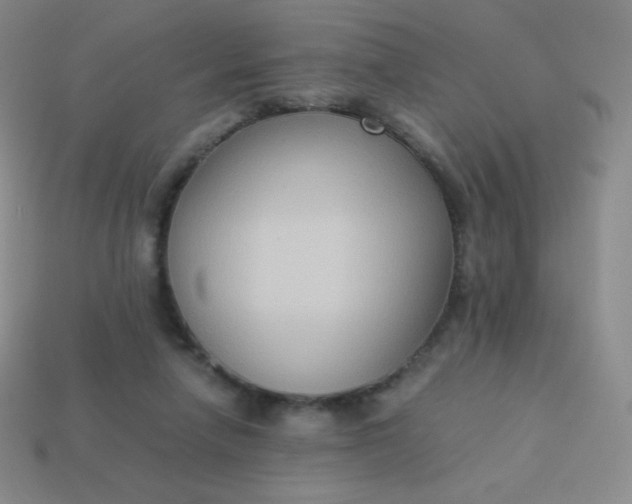 X0000113950258200910091615