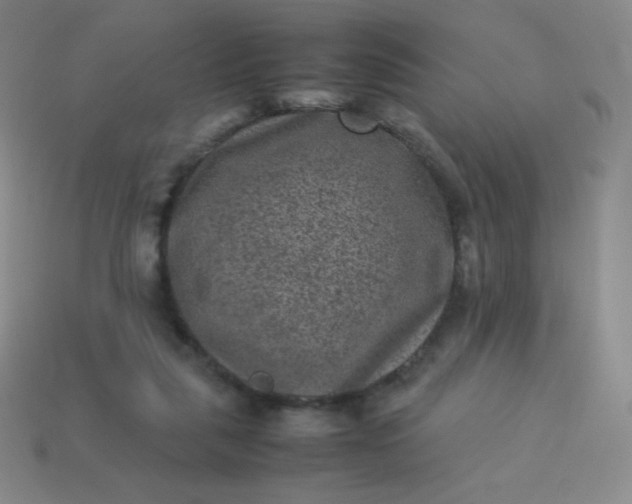 X0000113950259200910091615