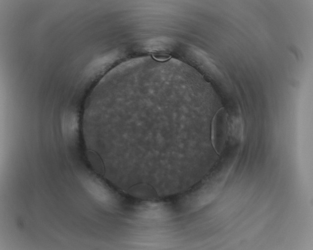 X0000113950260200910091615