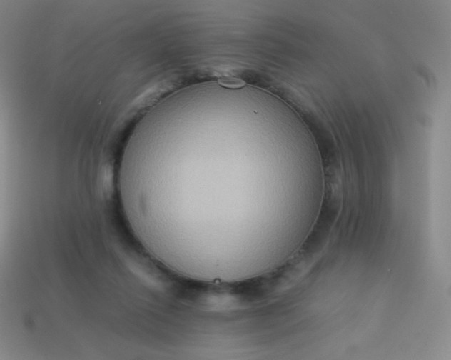 X0000113950262200910091615