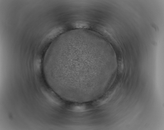 X0000113950263200910091615