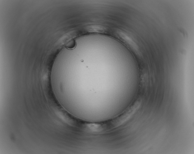X0000113950265200910091615