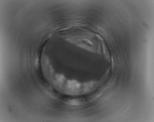 X0000113950267200910091615