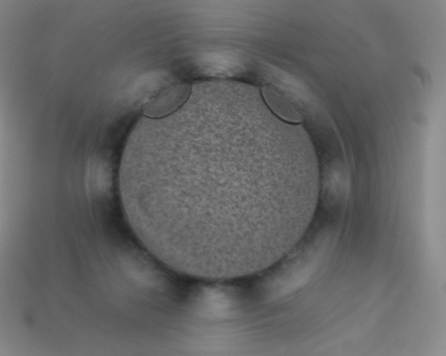 X0000113950268200910091615