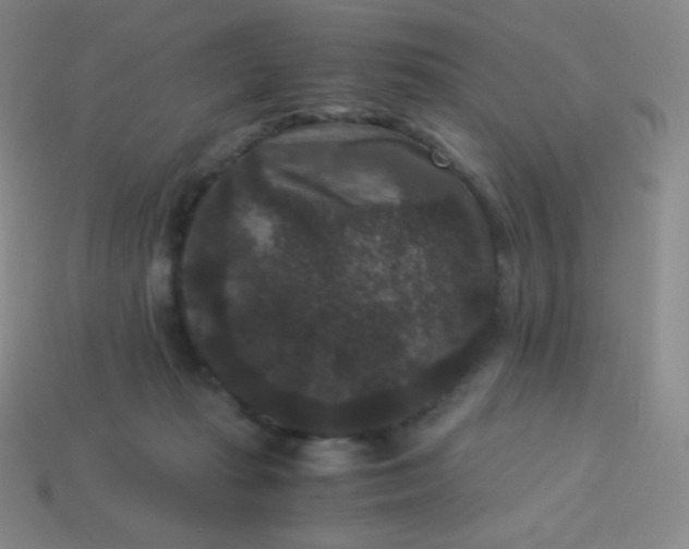 X0000113950269200910091615