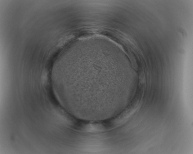 X0000113950270200910091615