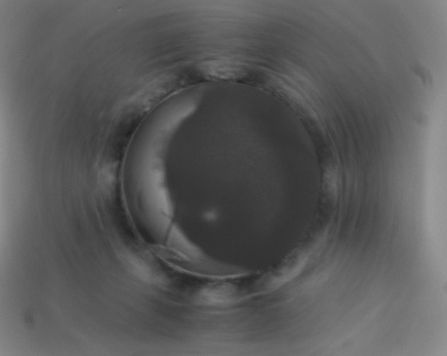 X0000113950271200910091615