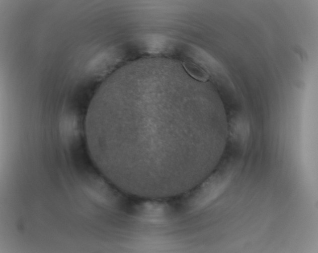 X0000113950272200910091615