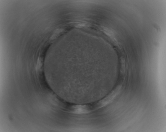 X0000113950273200910091615