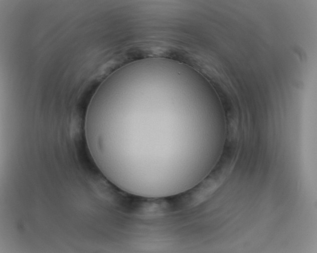 X0000113950274200910091615