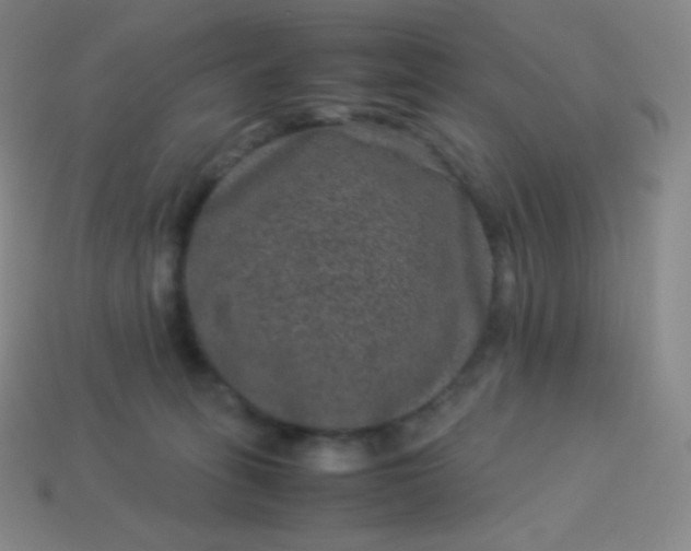 X0000113950275200910091615