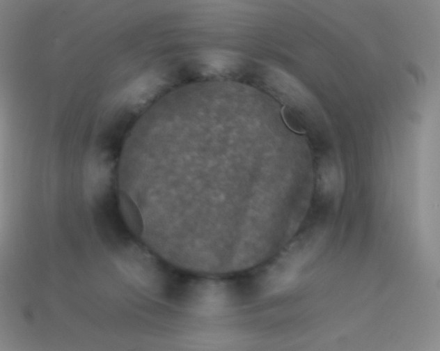 X0000113950276200910091615