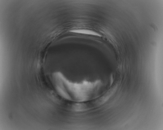 X0000113950277200910091615