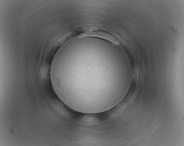 X0000113950280200910091615