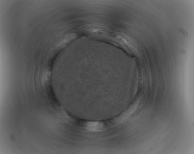 X0000113950281200910091615