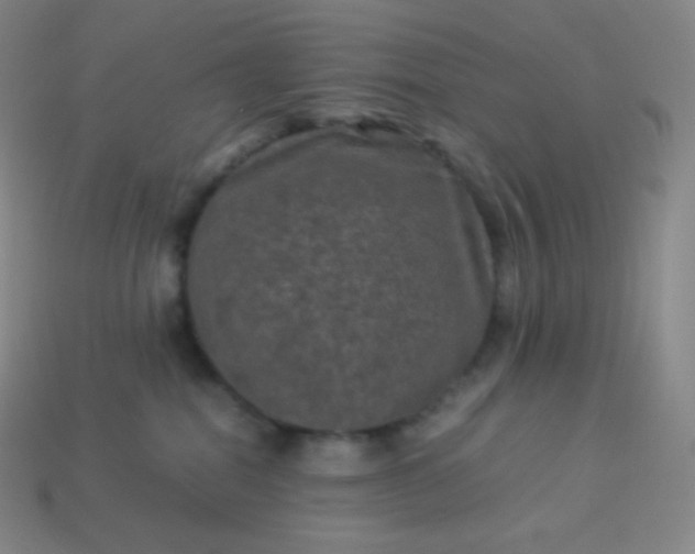 X0000113950282200910091615