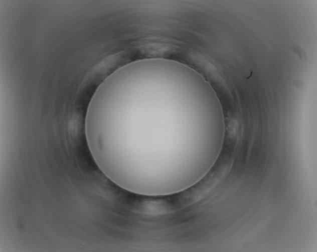 X0000113950283200910091615
