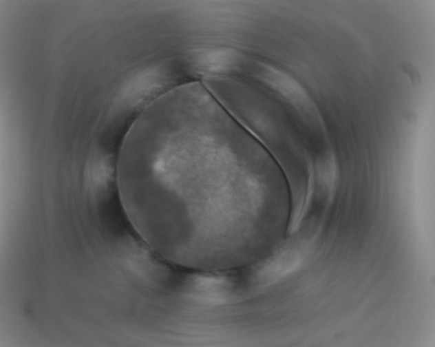 X0000113950284200910091615