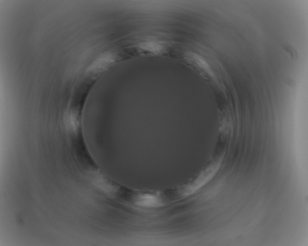 X0000113950285200910091615