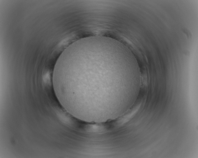 X0000113950286200910091615