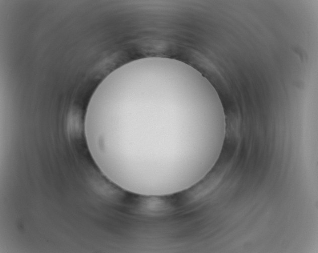 X0000113950287200910091615