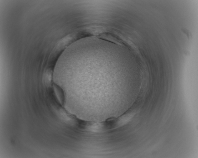 X0000113950288200910091615