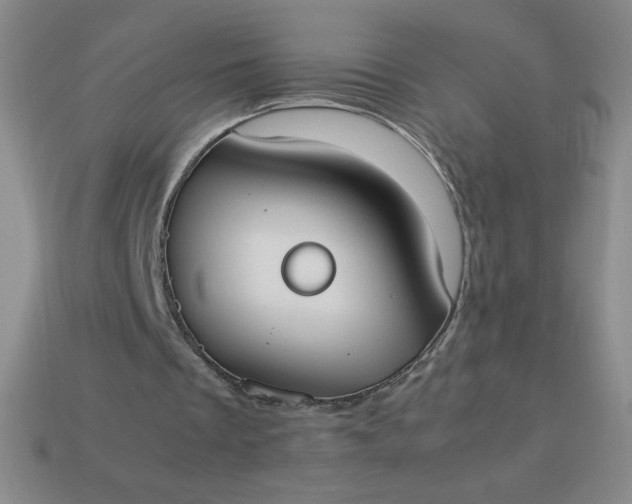 X0000113950289200910091614
