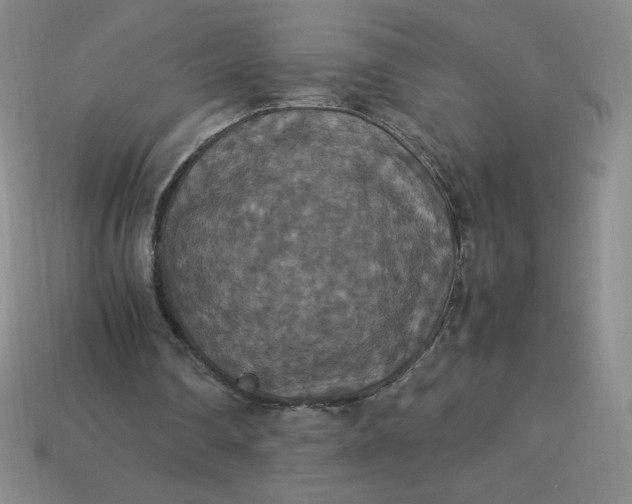 X0000113950290200910091614