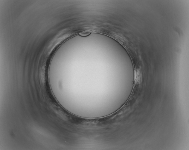 X0000113950291200910091614