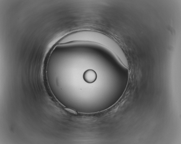 X0000113950292200910091614