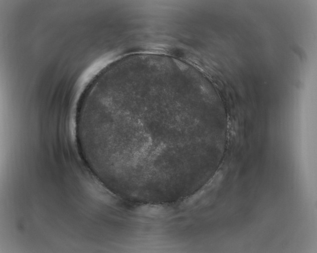 X0000113950294200910091614