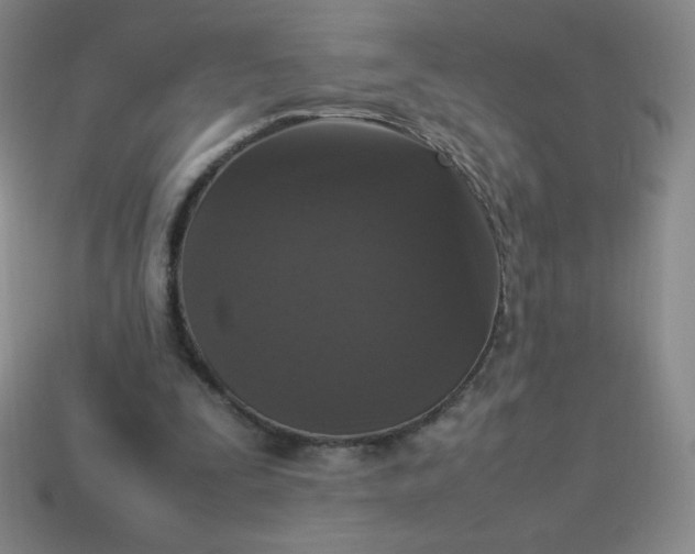 X0000113950295200910091614