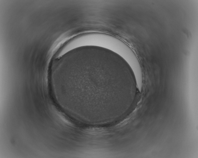 X0000113950296200910091614