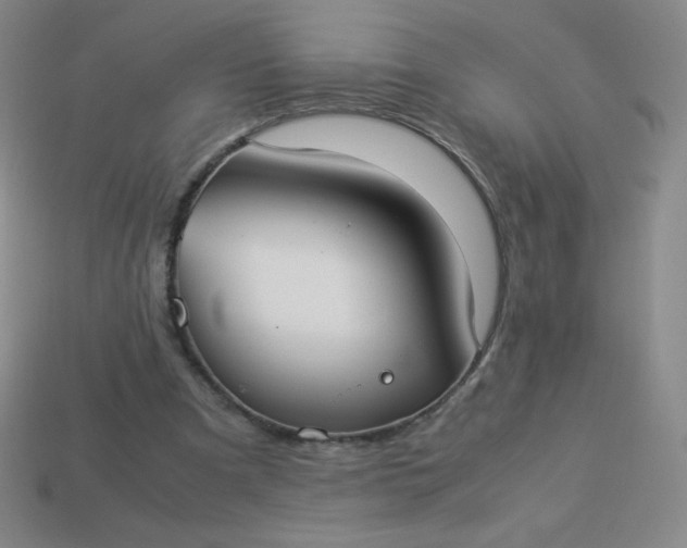 X0000113950297200910091614