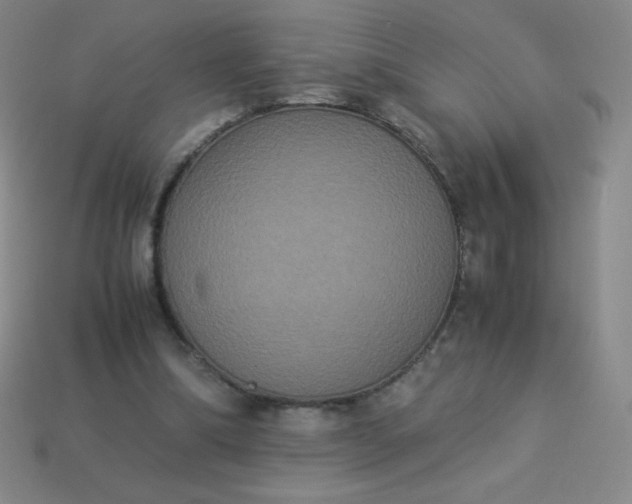 X0000113950298200910091614