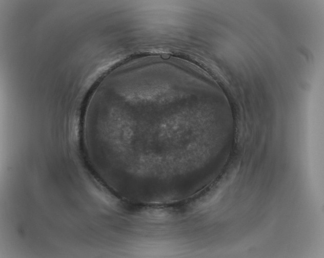 X0000113950299200910091614