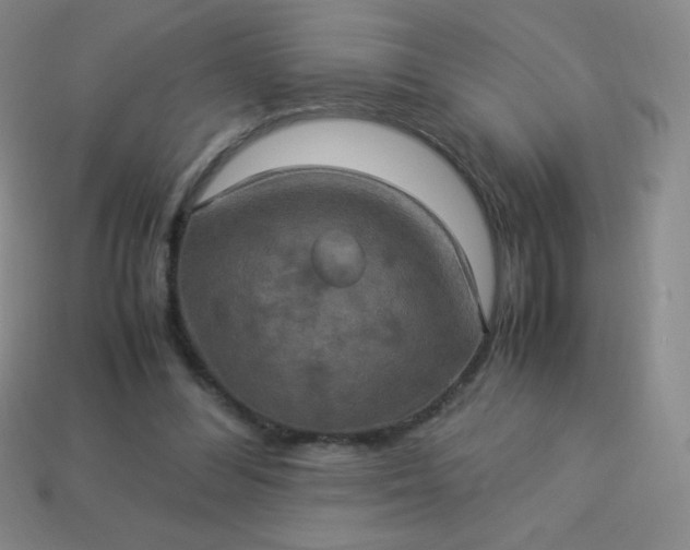 X0000113950300200910091614