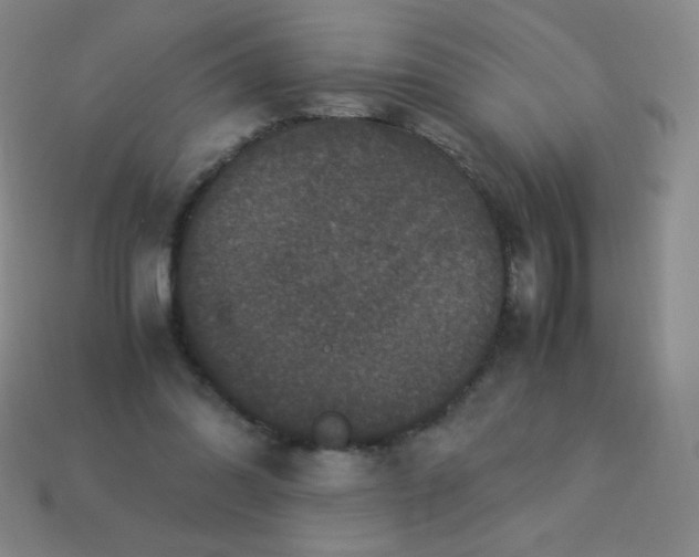 X0000113950302200910091614
