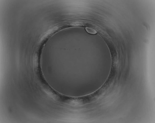 X0000113950303200910091614
